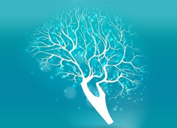 Neurofeedback: LENS