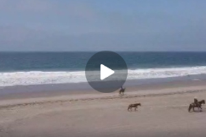 Video Beach